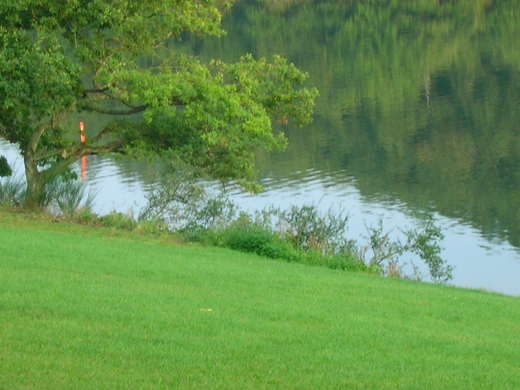 Lac de la Haute sûre - 6